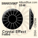Swarovski Concise Flat Back No-Hotfix (2034) SS20 - Color With Platinum Foiling