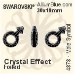 施華洛世奇 Male Symbol 花式石 (4878) 18x11.5mm - 透明白色 無水銀底