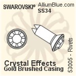 Swarovski Rivet (53005), Gun Metal Casing, With Stones in SS34 - Colors