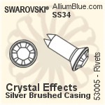 Swarovski Rivet (53005), Stainless Steel Casing, With Stones in SS34 - Clear Crystal