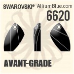 6620 - Avant-grade
