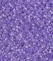 Purple Ceylon