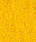 Opaque Canary