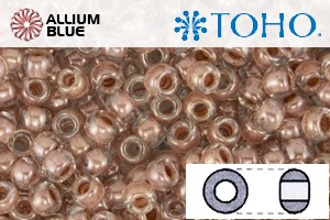 TOHO Round Seed Beads (RR8-1067) 8/0 Round Medium - Light Rust Lined Crystal - 關閉視窗 >> 可點擊圖片