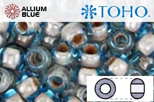TOHO Round Seed Beads (RR6-1072) 6/0 Round Large - Inside-Color Crystal Blue Coffee - 关闭视窗 >> 可点击图片