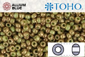 TOHO Round Seed Beads (RR3-1209) 3/0 Round Extra Large - Marbled Opaque Avocado/Pink - 關閉視窗 >> 可點擊圖片