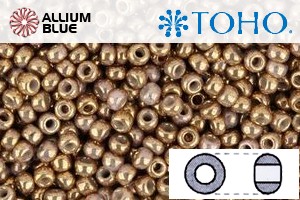 TOHO Round Seed Beads (RR6-1700) 6/0 Round Large - Gilded Marble White - 关闭视窗 >> 可点击图片