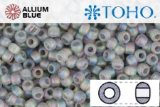 TOHO Round Seed Beads (RR8-176AF) 8/0 Round Medium - Transparent-Rainbow Frosted Black Diamond