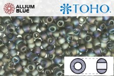 TOHO Round Seed Beads (RR8-176BF) 8/0 Round Medium - Transparent-Rainbow Frosted Gray
