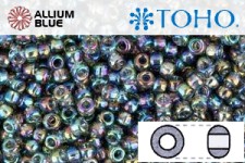 TOHO Round Seed Beads (RR11-176B) 11/0 Round - Transparent-Rainbow Gray