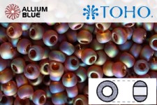 TOHO Round Seed Beads (RR6-177F) 6/0 Round Large - Transparent-Rainbow Frosted Smoky Topaz