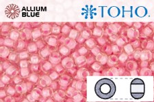 TOHO Round Seed Beads (RR6-191B) 6/0 Round Large - Inside-Color Transparent-Rainbow Crystal/Hot Pink-Lined