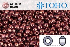 TOHO ラウンド Seed ビーズ (RR3-201) 3/0 ラウンド Extra Large - ゴールド-Lustered Amethyst