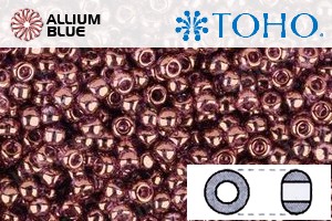 TOHO Round Seed Beads (RR6-202) 6/0 Round Large - Gold-Lustered Lilac - 关闭视窗 >> 可点击图片