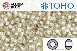 TOHO Round Seed Beads (RR6-21F) 6/0 Round Large - Silver-Lined Frosted Crystal - Click Image to Close