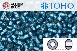TOHO Round Seed Beads (RR11-23BDA) 11/0 Round - Green Aqua Silver Lined - Click Image to Close