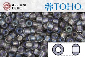 TOHO Round Seed Beads (RR6-266) 6/0 Round Large - Inside-Color Gold-Luster Crystal/Opaque Gray-Lined - 关闭视窗 >> 可点击图片