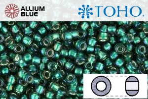 TOHO Round Seed Beads (RR8-270) 8/0 Round Medium - Inside-Color Crystal/Prairie Green-Lined
