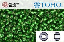 TOHO Round Seed Beads (RR6-27B) 6/0 Round Large - Silver-Lined Grass Green