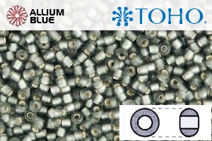 TOHO Round Seed Beads (RR15-29BF) 15/0 Round Small - Silver-Lined Frosted Gray - Haga Click en la Imagen para Cerrar