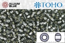 TOHO Round Seed Beads (RR8-29B) 8/0 Round Medium - Silver-Lined Gray