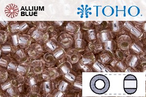 TOHO Round Seed Beads (RR8-31) 8/0 Round Medium - Silver-Lined Rosaline - 關閉視窗 >> 可點擊圖片