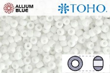 TOHO Round Seed Beads (RR6-41F) 6/0 Round Large - Opaque-Frosted White