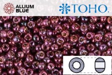 TOHO Round Seed Beads (RR8-425) 8/0 Round Medium - Gold-Lustered Marionberry