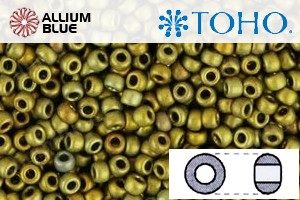 TOHO Round Seed Beads (RR6-513F) 6/0 Round Large - Higher-Metallic Frosted Carnival - 关闭视窗 >> 可点击图片