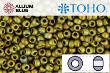 TOHO Round Seed Beads (RR11-513F) 11/0 Round - Higher-Metallic Frosted Carnival