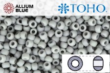 TOHO Round Seed Beads (RR11-53F) 11/0 Round - Opaque-Frosted Gray