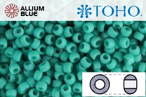TOHO Round Seed Beads (RR8-55F) 8/0 Round Medium - Opaque-Frosted Turquoise - 關閉視窗 >> 可點擊圖片