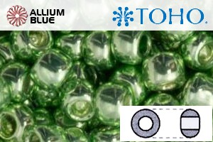 TOHO Round Seed Beads (RR8-560) 8/0 Round Medium - Galvanized Sea Foam - 關閉視窗 >> 可點擊圖片