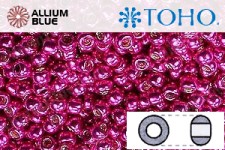 TOHO Round Seed Beads (RR6-563) 6/0 Round Large - Galvanized Orchid Lined
