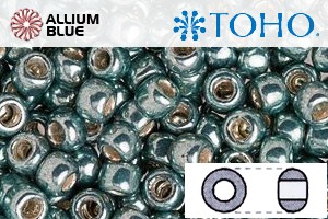 TOHO Round Seed Beads (RR3-565) 3/0 Round Extra Large - Galvanized Blue Slate - 關閉視窗 >> 可點擊圖片
