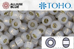 TOHO Round Seed Beads (RR6-PF2101) 6/0 Round Large - PermaFinish - Silver-Lined Milky Cloud - 关闭视窗 >> 可点击图片