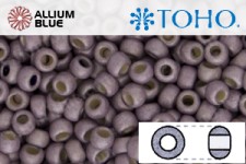 TOHO Round Seed Beads (RR15-PF554F) 15/0 Round Small - PermaFinish - Matte Galvanized Lilac