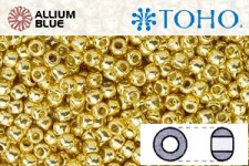 TOHO Round Seed Beads (RR11-PF557) 11/0 Round - PermaFinish - Galvanized Starlight