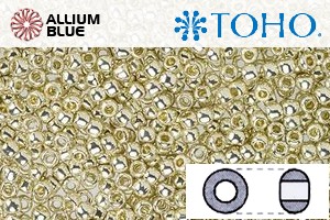 TOHO Round Seed Beads (RR8-PF558) 8/0 Round Medium - PermaFinish - Galvanized Aluminum