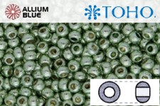 TOHO ラウンド Seed ビーズ (RR15-PF560) 15/0 ラウンド Small - PermaFinish - Galvanized Sea Foam