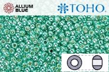 TOHO ラウンド Seed ビーズ (RR11-PF561) 11/0 ラウンド - PermaFinish - Galvanized Green Teal