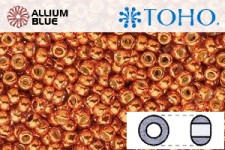 TOHO ラウンド Seed ビーズ (RR11-PF562) 11/0 ラウンド - PermaFinish - Galvanized Saffron