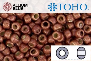 TOHO Round Seed Beads (RR8-PF564F) 8/0 Round Medium - PermaFinish - Matte Galvanized Brick Red - 關閉視窗 >> 可點擊圖片