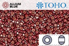 TOHO ラウンド Seed ビーズ (RR15-PF564) 15/0 ラウンド Small - PermaFinish - Galvanized Brick Red