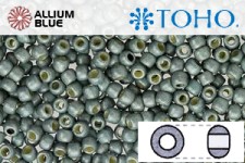 TOHO ラウンド Seed ビーズ (RR11-PF565F) 11/0 ラウンド - PermaFinish - Frosted Galvanized Blue Slate