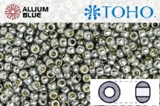 TOHO ラウンド Seed ビーズ (RR15-PF565) 15/0 ラウンド Small - PermaFinish - Galvanized Blue Slate