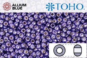 TOHO Round Seed Beads (RR6-PF567) 6/0 Round Large - PermaFinish - Metallic Polaris