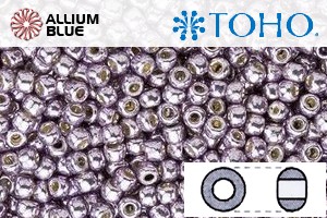 TOHO Round Seed Beads (RR6-PF568) 6/0 Round Large - PermaFinish - Galvanized Gun Metal Gray - 關閉視窗 >> 可點擊圖片