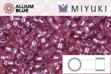 MIYUKI Delica® Seed Beads (DB2161) 11/0 Round - Duracoat Silver Lined Petunia