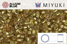 MIYUKI Delica® Seed Beads (DB2170) 11/0 Round - Duracoat Silver Lined Raisin